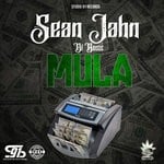 cover: Sean Jahn Di Boss - Mula