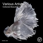 cover: Various - Collected Beauties Vol 4