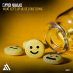 cover: David Nimmo - What Goes Up Must Come Down (Extended Mix)