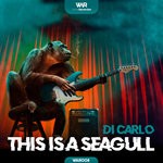 cover: Di Carlo - This Is A Seagull