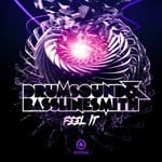 cover: Drumsound & Bassline Smith - Feel It