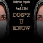 cover: Frank K Pini - Don't U Know