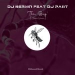 cover: Dj Past|Dj Berkin - The Bug (Classic Version)