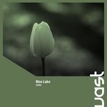 cover: Max Lake - Lines