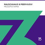 cover: Peer Kusiv - Mesopotamia (Extended Mix)