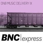 cover: Various - DNB Music Delivery IX