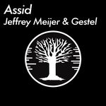 cover: Jeffrey Meijer|Gestel - Assid