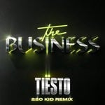 cover: Tiesto - The Business (220 KID Remix)