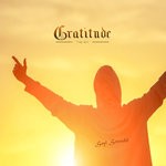 cover: Seyi Soundz - Gratitude