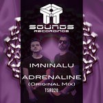 cover: Adrenaline - Imninalu