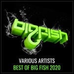 cover: Various - Best Of Big Fish 2020