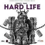 cover: Crazy Mac - Hard Life