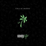 cover: Collie Buddz - Good Life (Explicit)