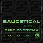 cover: Dirt Systema - U Dig