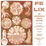 cover: Felix - In Adancurile Marii