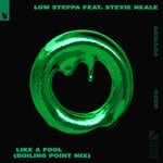 cover: Stevie Neale - Like A Fool (Boiling Point Extended Mix)