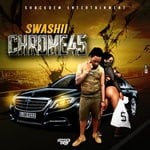 cover: Swashii - Chrome 45