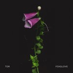 cover: Tor - Foxglove