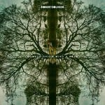 cover: Robert Solheim - Conversation With A Tree