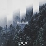 cover: Subliminal - Present Sound Of Berlin