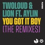 cover: Aylin|Twoloud - You Got It Boy