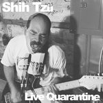 cover: Shih Tzu - Live Quarantine