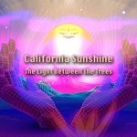 cover: California Sunshine - The Light Between The Trees