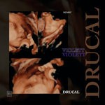 cover: Drucal - Violett