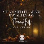 cover: Mhammed El Alami|Waltin Jay - Thankful (Chill Out Remix)