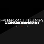 cover: Hauber Zsolt - Industry