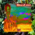 cover: Brizion - Dubwize Meditations Chapter 3