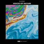 cover: Elsor - Voices Of Nature