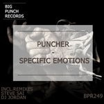 cover: Puncher - Specific Emotions