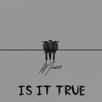 cover: Mir220 - Is It True (Explicit)