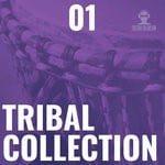 cover: Various - Tribal Collection Vol 1