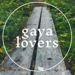 cover: Gaya Lovers - Camp Stories