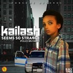 cover: Adrian Donsome Hanson|Kailash - Seems So Strange (Police Brutality)