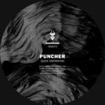 cover: Puncher - Quick Inspiration