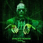 cover: Magmatrix - Diving Into The Matrix