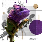 cover: Kricked - Emotions