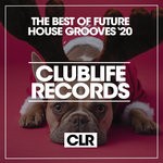 cover: Various - The Best Of Future House Grooves '20