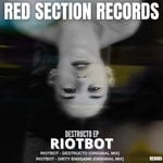 cover: Riotbot - Destructo