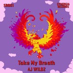 cover: Aj Wildz - Take My Breath