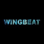 cover: Wingbeat - Wingbeat