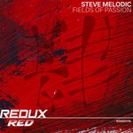 cover: Steve Melodic - Fields Of Passion