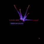 cover: Cosmic Bird - Freedom Galaxy