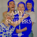 cover: Amyl & The Sniffers - Born To Be Alive