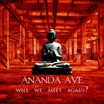 cover: Ananda Ave - Will We Meet Again?