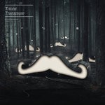 cover: Trinist - Transmute