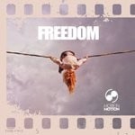 cover: Various - Freedom